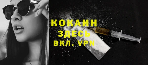 прущий лед Новозыбков
